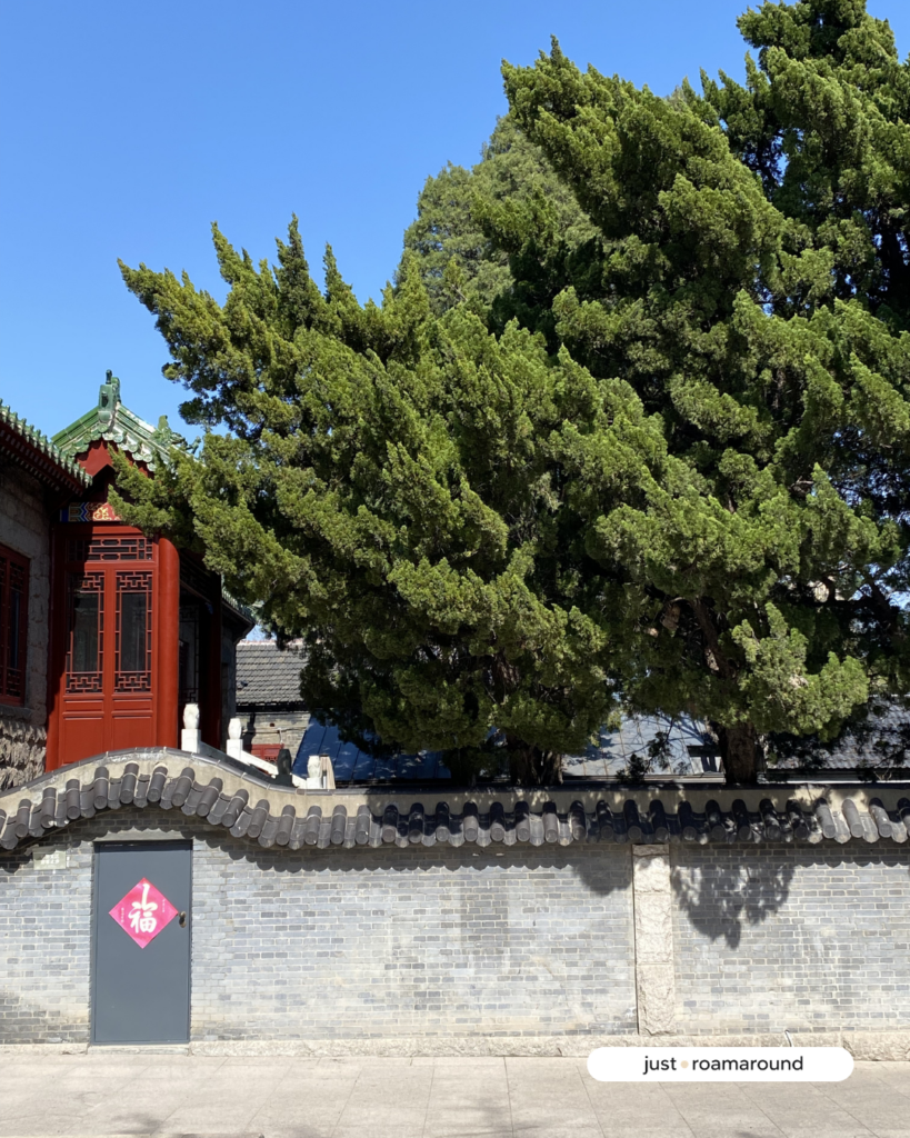 วัด Qingdao Zhanshan Temple ชิงเต่า