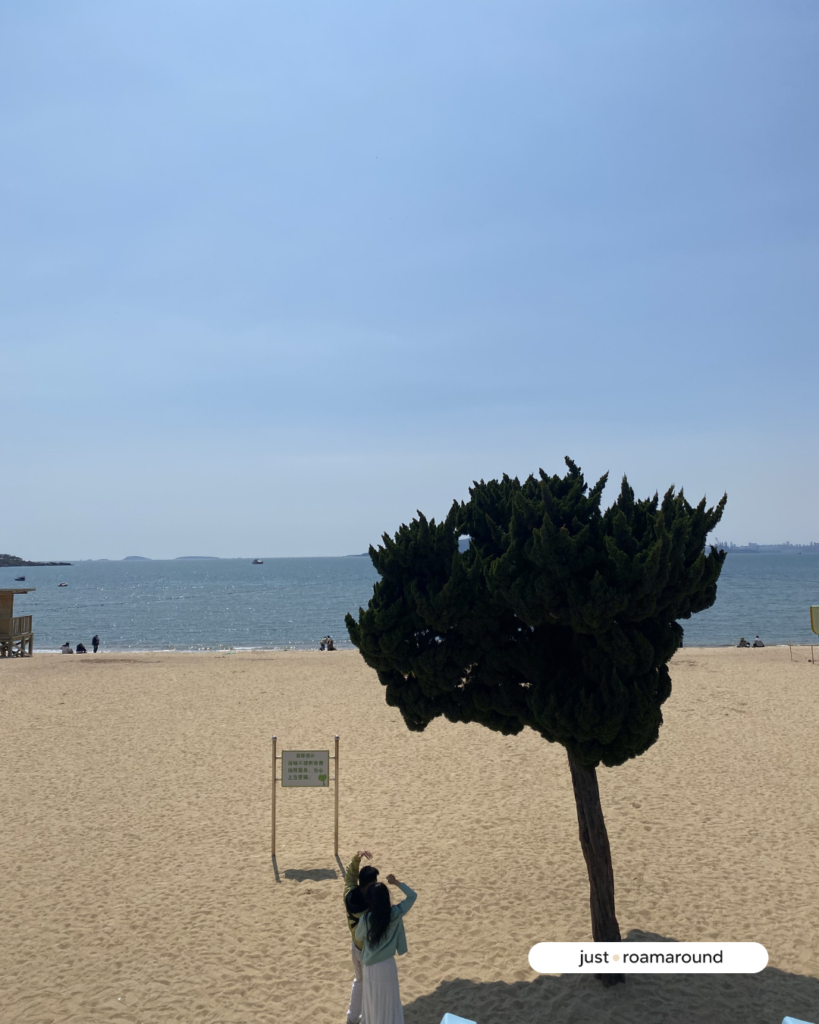 Lonely Tree ชิงเต่า