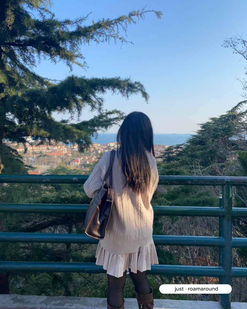 ชมวิวชิงเต่าที่ Signal Mountain Park 
