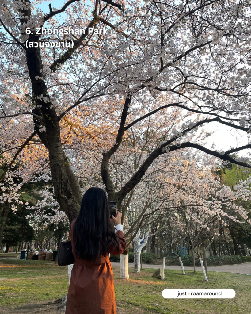 Zhongshan Park (สวนจงซาน)