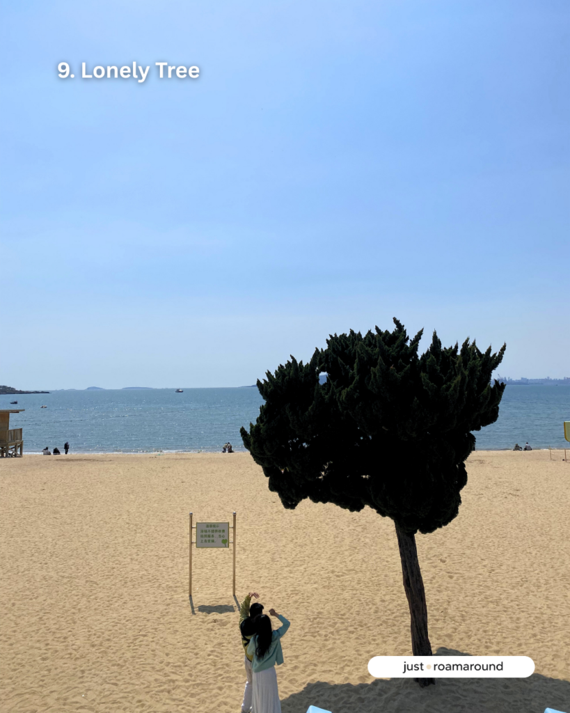 Lonely Tree