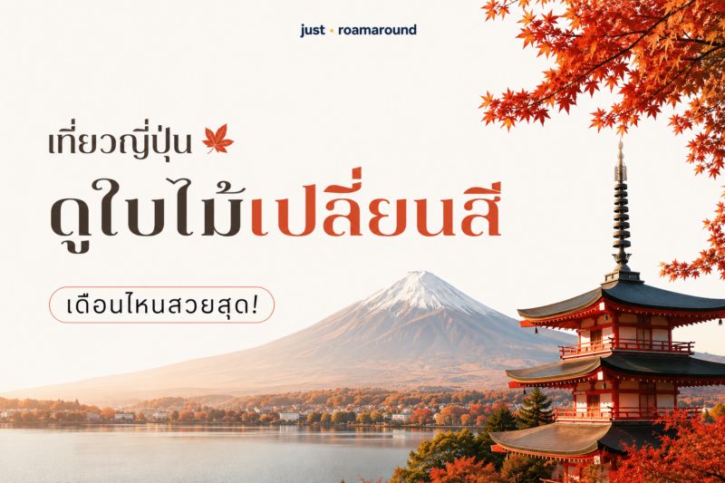 เที่ยวญี่ปุ่น ดูใบไม้เปลี่ยนสี ไปเดือนไหนสวยสุด